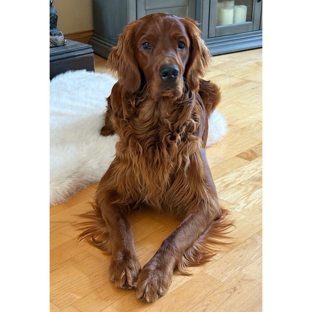 Meet your Posher, Viktor